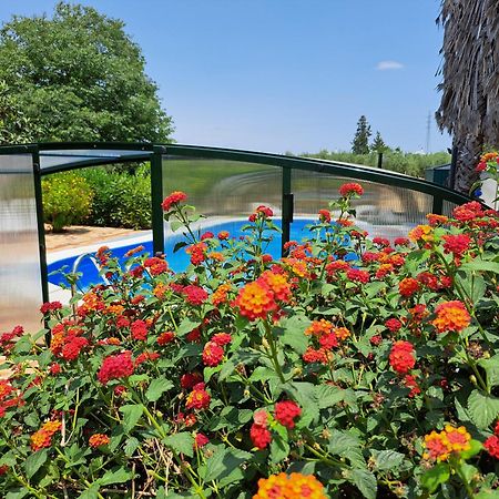 Finca-Vallestares Алмонте Екстериор снимка