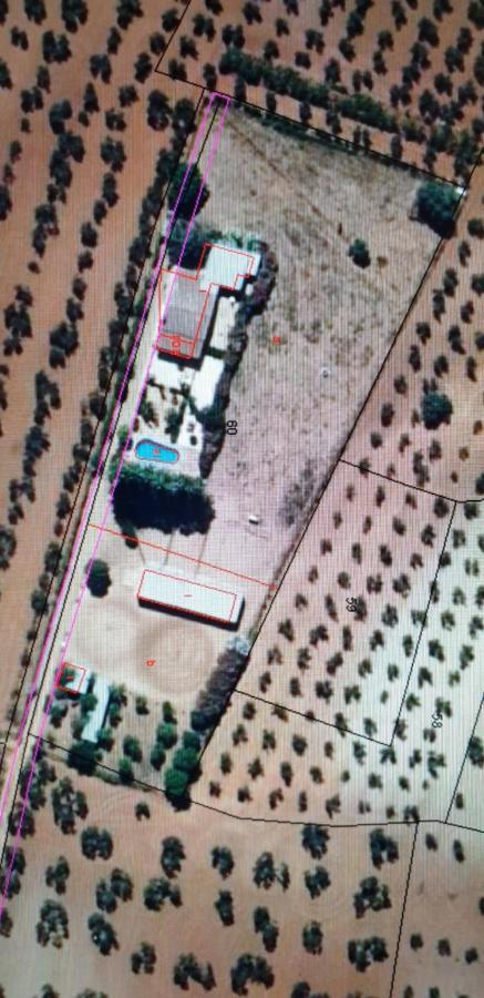Finca-Vallestares Алмонте Екстериор снимка