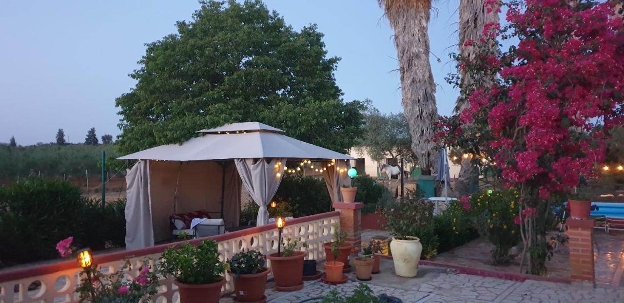 Finca-Vallestares Алмонте Екстериор снимка